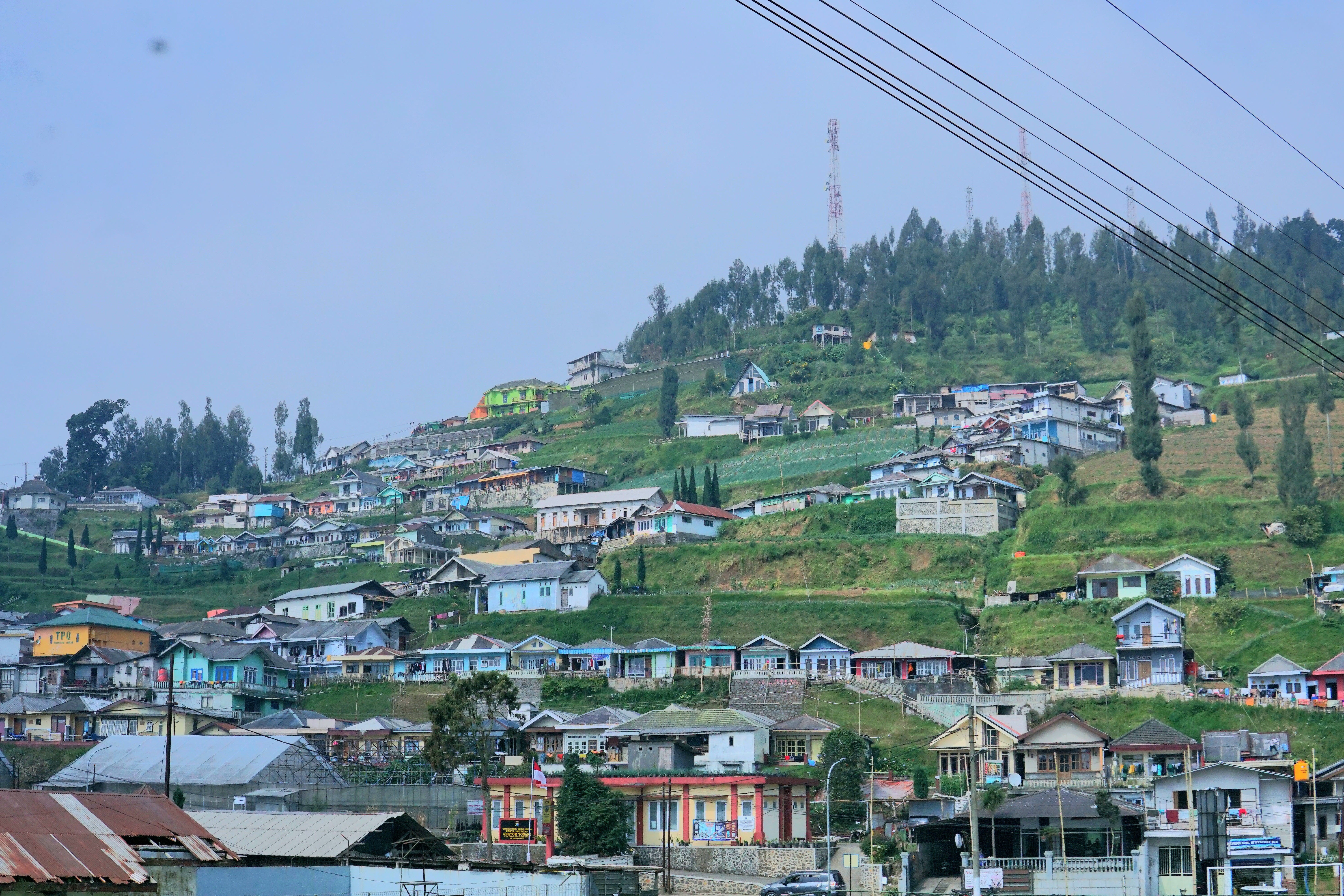 Selayang Pandang Kampung